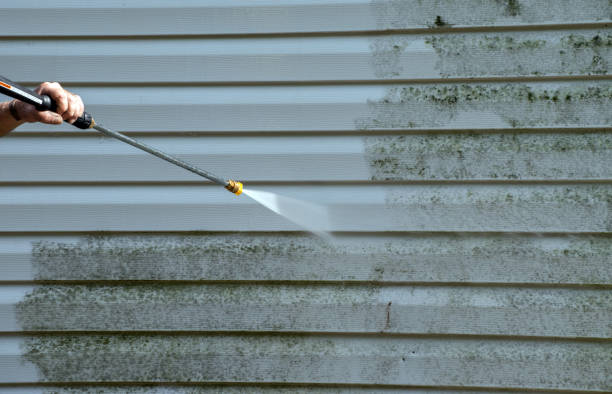 Best Sidewalk Pressure Washing  in Cascade, IA