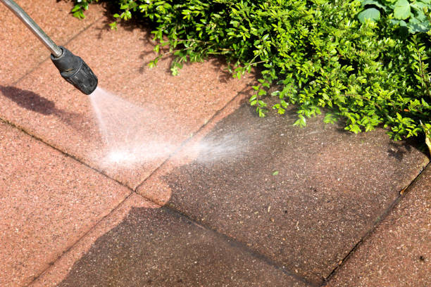 Best Residential Pressure Washing Services  in Cascade, IA